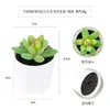 Más de 100 Tipos de Combinaciones de Plantas Suculentas Mini de Plástico Simuladas en Maceta, Mini Bonsáis Suculentos Más Vendidos Transfronterizos, Decoración para el Hogar, Adornos Creativos