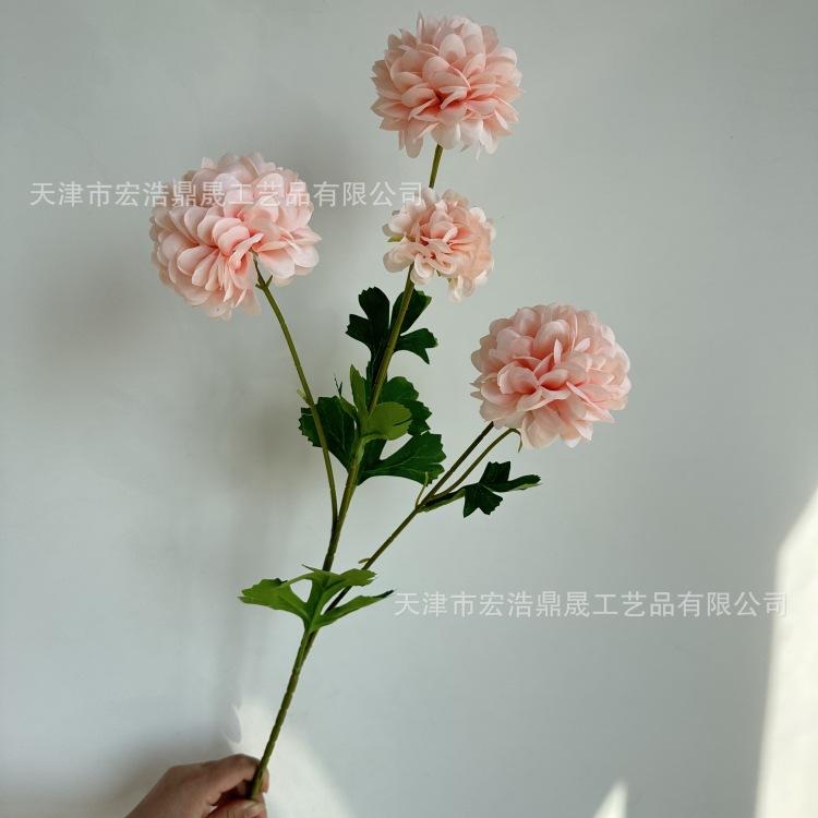 微信图片_20230913151900_副本