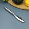 Ferramenta Raspador de Escamas de Peixe em Aço Inoxidável para Uso na Cozinha, Removedor Manual de Escamas de Peixe, Gadget de Remoção de Escamas de Peixe para Cozinha