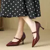 Zapatos de Tacón Alto de Diseño Puntiagudo Huiliya Estilo Nicho para Mujer Primavera y Otoño Nuevo Estilo Boca Baja Elegantes Zapatos de Tacón de Aguja para Mujer G60-11