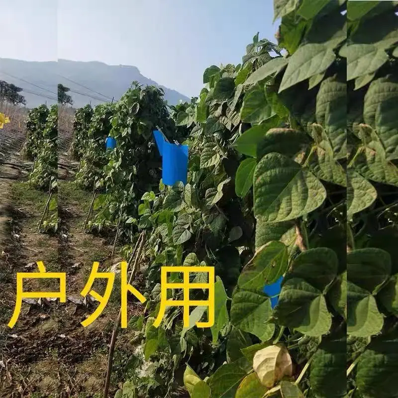 详情9