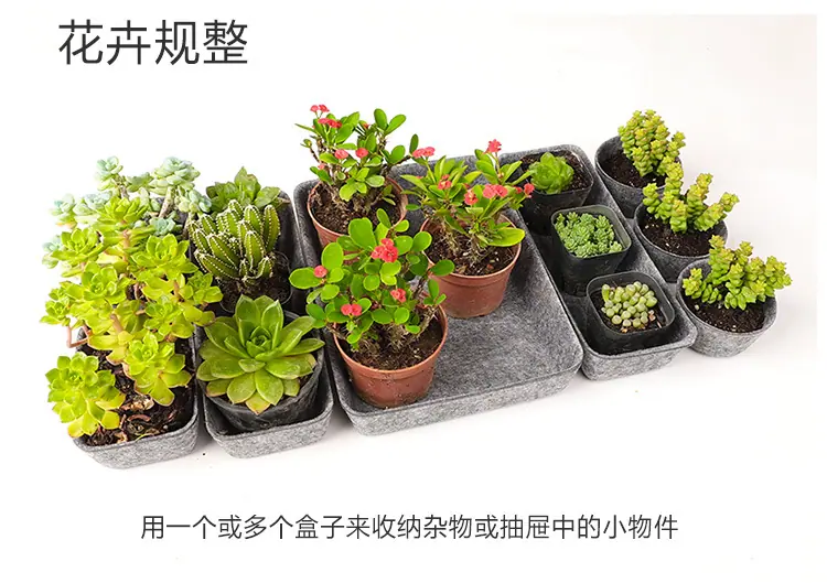 详情_12.jpg