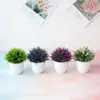 Malla 32 Especímenes de Pteris Bonsái Plantas de Simulación Adornos Bola de Flores Bola de Hierba Planta en Maceta Decoración del Hogar Adornos Pequeños