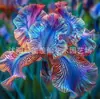 Semillas de rizomas de iris de flor azul, semillas de flores de bulbo, fáciles de cultivar y florecen todo el año, adecuadas para paisajismo de jardines y plantas en maceta