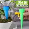 Riego automático de flores de stock de fábrica, dispositivo de riego automático para personas perezosas, dispositivo de riego por goteo, regador, venta al por mayor del fabricante