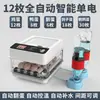Incubadora Totalmente Automática Incubadora Casera para Niños Incubadora Pequeña para Huevos de Gallina Aislamiento Rutinario Temperatura Constante Huevo Inteligente