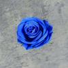 Cabeças de Flores de Rosa Artificiais para Decoração de Fundo de Casamento, Arco de Flores Falsas Transfronteiriço, Materiais Florais DIY Feitos à Mão