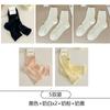 Calcetines de Malla Calados para Primavera y Otoño para Mujer, Zapatos Mary Jane Lindos de Encaje Estilo Coreano de Media Pantorrilla, Calcetines de Algodón con Lazo Dulce