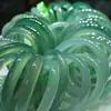 Pulsera de Ágata Natural de Alta Calidad para Mujer, Pulsera de Calcedonia Blanca Luna Semitransparente, Alta Transparencia de Hielo, Jade de Caja de Regalo Tipo Hielo
