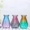 Vaso de Vidrio de Sodio-Calcio Transfronterizo al por Mayor Tarro de Almacenamiento Estilo Geométrico de Moda Decoración de Dormitorio Florero con Impresión de Logotipo