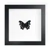 Mariposa Real, Especie Preciosa de Verano, Mariposa Rara, Mariposa Pequeña de Cinta Verde, Adorno de Escritorio, Espécimen de Regalo, Pintura Decorativa, Espécimen de Mariposa
