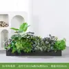 [Serie E100] Paisajismo de Plantas Verdes Macetero Combinado Maceta Decoración Planta Artificial Decoración de Paisaje Interior y Exterior