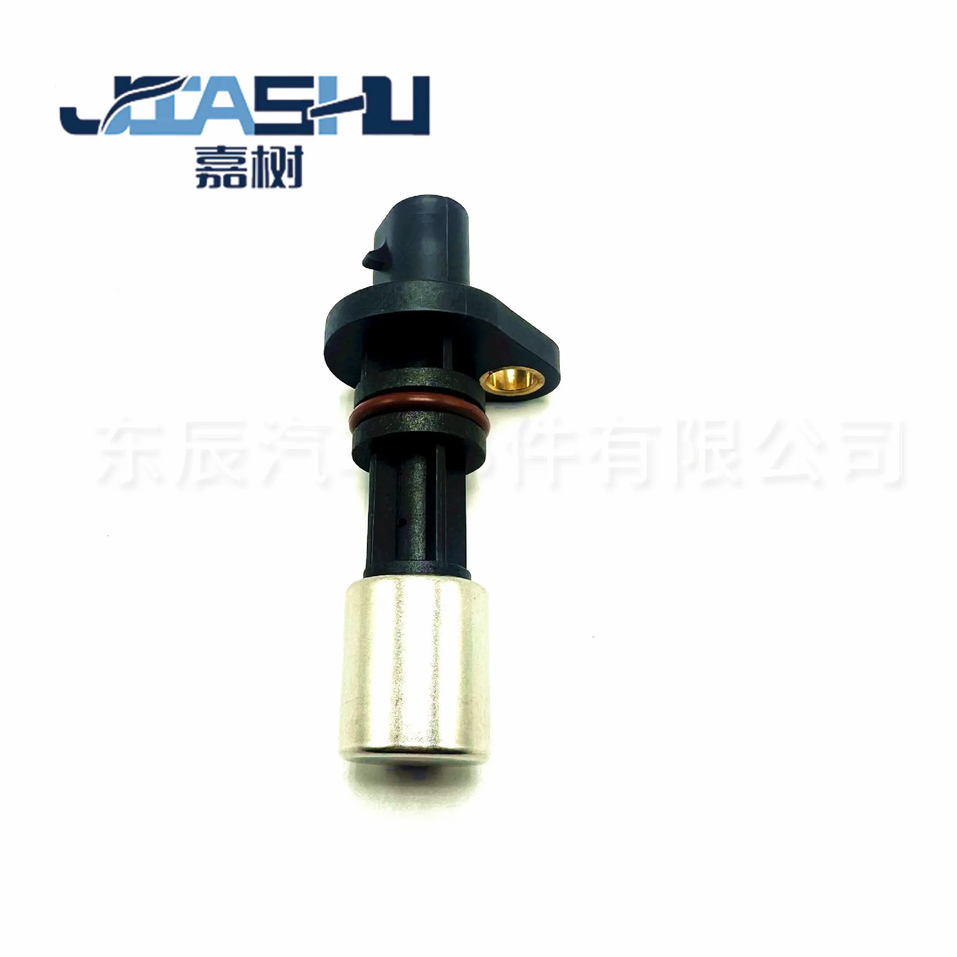 JS-03-494 (1)