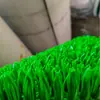 A Grama Corrida do Ouro Mais Vendida do Fabricante Possui Qualidade Garantida de Super Absorção de Ouro, Longa Durabilidade e Alta Taxa de Reciclagem