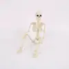 Colgante Decorativo de Esqueleto Artificial de Halloween Accesorios Esqueleto Humano de Plástico Esqueleto Puede Pararse con Articulaciones Móviles