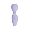 Vibrador Divertido de Arroz Glutinoso Roxo para Mulheres AV Stick Controle Remoto por App Masturbação Multifrequência Sedução Erótico Brinquedos Sexuais para Adultos Dropshipping
