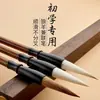 Set de Pinceles de Caligrafía para Principiantes para Estudiantes: Set de Brochas de Caligrafía para Principiantes con Brochas Pequeñas de Letra Regular para Principiantes y Brochas Mixtas de Pelo de Lobo