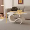 Mesa de centro ovalada de lujo moderno minimalista con tablero de roca para sala de estar, adecuada para espacios pequeños, modelo de diseñador creativo y de alta gama