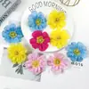 Película Cosmos Flores Pasador Hecho a Mano Tocado Materiales Accesorios Souvenir Atrezzo Salón de Bodas Decoración de Pared de Flores