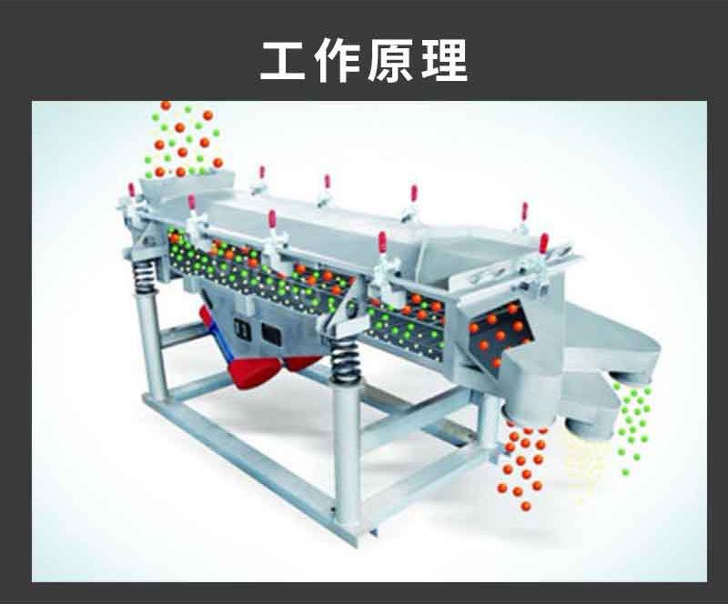 详情3