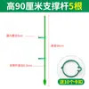 Suporte para Orquídea Phalaenopsis Haste de Suporte para Planta de Orquídea Suporte Retificador de Fibra de Vidro Haste de Fixação para Planta Trepadeira