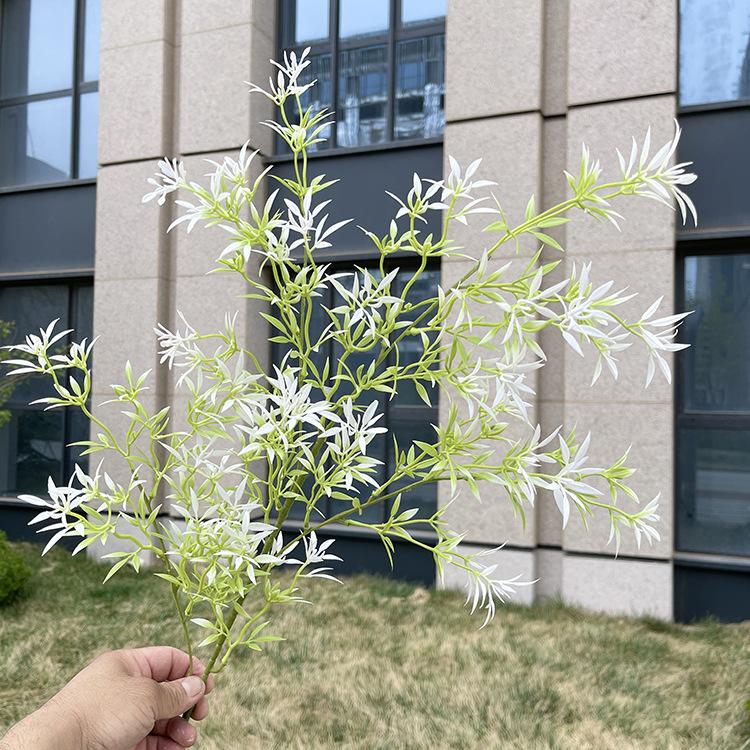 4叉原色竹叶草 白绿.JPG