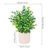 Nueva Planta Verde Artificial Más Vendida en Amazon Plantas en Maceta Estilo Europeo Frescas Decoraciones para el Hogar Venta al por Mayor de Fábrica Plantas Verdes Decorativas