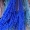 Hierba Barba de Dragón Eterna, Hierba de Junco, Flores Reales, Venta al por Mayor Fabricante de Yunnan, Serie Fuegos Artificiales de Ensueño, Materiales Florales para Cortinas de Boda, Decoración Suave