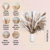 Flores de Juncos Secas, Produtos Acabados, Misturadas com Capim Rabo de Coelho Real, Decoração de Casa Interna, Flores Prensadas, Decorações Coloridas da Amazônia