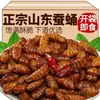 Crispy Pupas de Gusano de Seda Listas para Comer al Abrir Pupas de Gusano de Seda Pequeñas Fritas Cinco Especias Snack Picante para Beber Especialidad de Shandong Snack para Comer Cocinado Uso Comercial