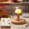 Luz de Noche de Gelatina de Concha de Erizo de Mar Natural Kit de Materiales Hechos a Mano para Bricolaje Adorno Decorativo Regalo para Niños y Novias