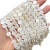 Jingde joyería 12mm disco de concha de agua dulce natural cuentas sueltas cuentas de fritillary blanco accesorios de joyería DIY al por mayor