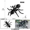 Modelo de animal salvaje de simulación Araña mosquito Polilla de la Luna Gallo Ciclo de crecimiento del gallo Juguete adornos para cuenca sensorial infantil