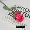 Borde Quemado Flor Rosa Simulada Ramo Escena Arreglo Decoración Flor de Rosa de Borde Quemado Realista de Alta Gama Uso en Bodas Flores Artificiales
