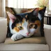 Fronha de Almofada de Gato de Desenho Animado Popular Temu Xiyin Transfronteiriça Têxtil para Casa Capa de Almofada Decorativa para Sofá Atacado Personalização