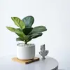 Qin Ye Rong Planta Verde Hidropônica Pequeno Vaso Desktop Escritório para Alimentar Flores Nórdicas Sempre Verde e Purificar o Ar