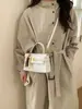 Bolso Transfronterizo para Mujer 2026 Nuevo Estilo Bolso Pequeño Cuadrado de Hombro Cruzado Moda para Viajero Bolso Sencillo Elegante Bolso de Alta Gama Kelly