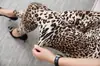 Sexy Moda Feminina Leggings Slim-Fit Emagrecimento Grande Estiramento Leopardo Calças Manchadas Macio Tamanho Grande Explosões