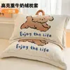 Funda de Almohada de Terciopelo de Leche Engrosada 48X74cm Paquete Doble Invierno para Niños y Adultos Funda Interior para Almohada Individual del Hogar