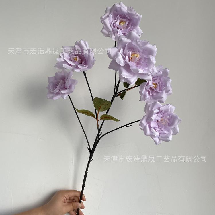 微信图片_2022100517222610_副本