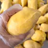 Almofada Dourada Tailandesa Durian, Grau A, Maduro na Árvore, Congelado, Não Seco Musang King, Direto da Fábrica de Origem, Atacado em Lote