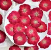 Rosa roja grande planta natural flor seca flor prensada espécimen artesanía de resina marco de fotos de flor prensada materiales hechos a mano