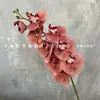 Decoración de Mesa Escandinava de Falenopsis de 9 Cabezas Impresa en 3D Película Floral de Boda Flor Artificial de Falenopsis Accesorios para Fotografía