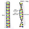 Estrutura de dupla hélice de DNA modelo equipamento experimental biológico instrumento de ensino desoxirribose genética gene variação
