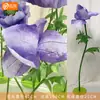 Flores Artificiais de Grande Escala Papoula Combinação Flor de Papel Artesanal Rede Vermelha Flor Shopping Center Meichen Cena de Casamento Decoração com Flores de Papel
