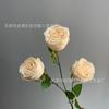 Boda flor artificial 3 rosa concubina imperial Decoración de salón de bodas arreglo floral flor flor artificial planta verde biónica