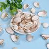 Pingente Concha Natural Huangta Galvanoplastia Feito à Mão Brincos Gota de Óleo Carrilhão de Vento Pingente Criativo Acessórios de Joalheria DIY