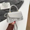 Bolso Cuadrado Pequeño de Gama Alta, Bolso de Mujer Versátil y de Moda, Nuevo Modelo 2025, Bolso Cruzado, Bolso de Hombro con un Diseño Elegante, Bolso de Axila para Mujer