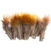 80 Tipos de Penas Naturais de Faisão, Penas Reais, Decorações Nativas Americanas, Acessórios DIY, Acessórios de Cabelo, Peças para Brinquedo de Vara para Gato
