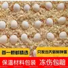 Huevos de loro peonía huevos fertilizados huevos de semilla huevos de pájaro se pueden incubar artificialmente huevos fertilizados para mascotas
